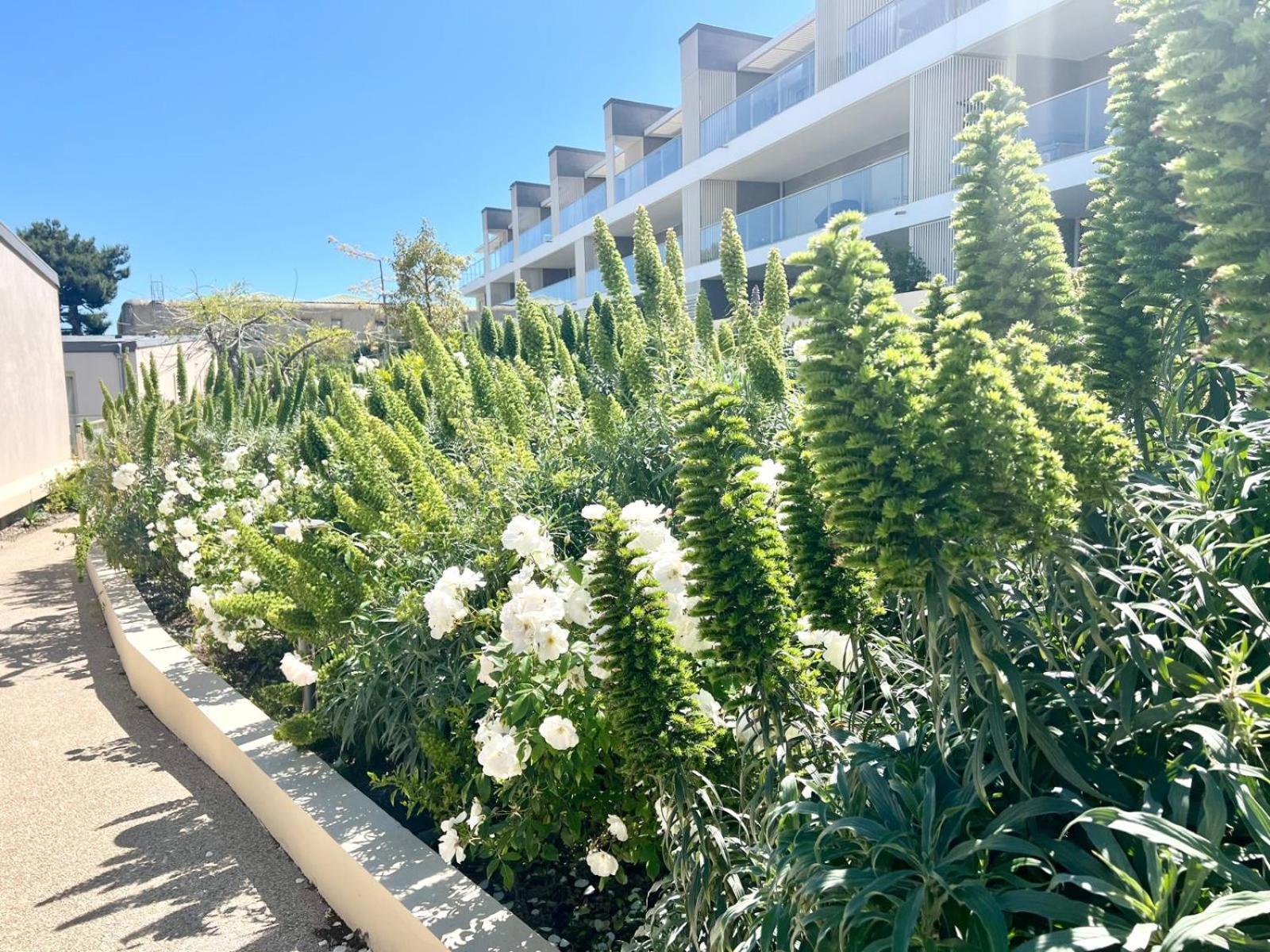 Panoramic Sea View Appartment Blue Pearl Νίκαια Εξωτερικό φωτογραφία